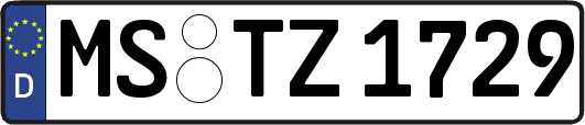 MS-TZ1729