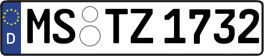 MS-TZ1732