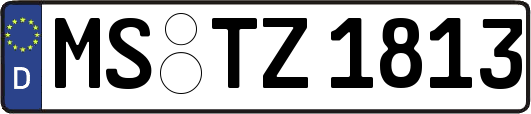 MS-TZ1813