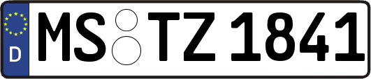 MS-TZ1841