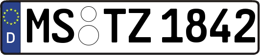 MS-TZ1842