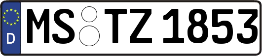 MS-TZ1853
