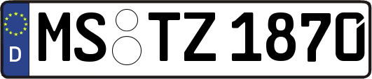 MS-TZ1870