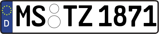 MS-TZ1871