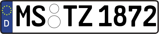 MS-TZ1872