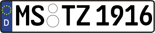 MS-TZ1916