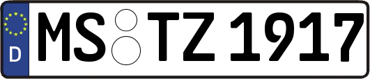 MS-TZ1917