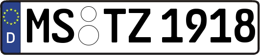 MS-TZ1918
