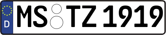 MS-TZ1919