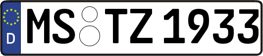 MS-TZ1933