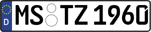 MS-TZ1960