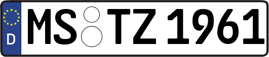 MS-TZ1961