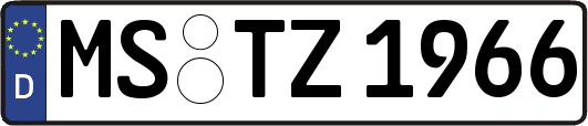 MS-TZ1966