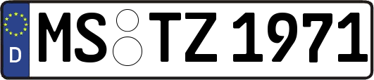 MS-TZ1971