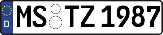 MS-TZ1987