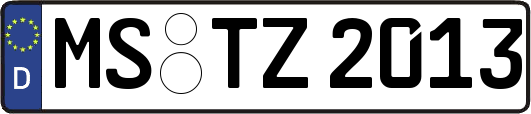 MS-TZ2013