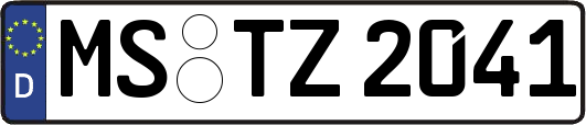 MS-TZ2041