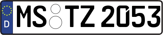 MS-TZ2053