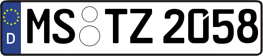 MS-TZ2058