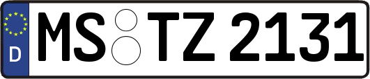 MS-TZ2131