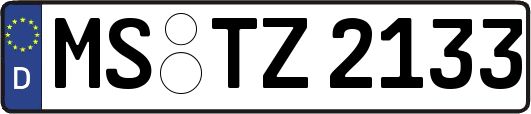 MS-TZ2133