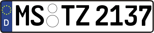 MS-TZ2137