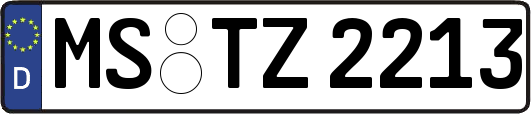 MS-TZ2213