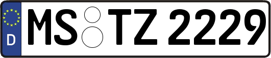 MS-TZ2229