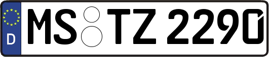 MS-TZ2290