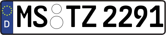 MS-TZ2291