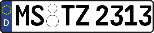 MS-TZ2313