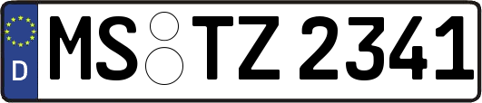 MS-TZ2341