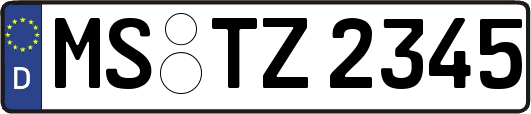 MS-TZ2345