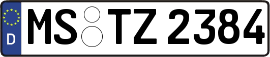 MS-TZ2384