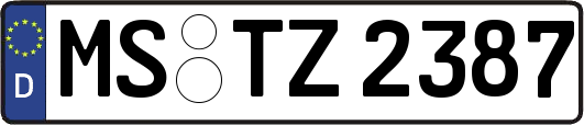 MS-TZ2387