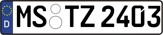MS-TZ2403
