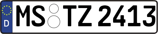 MS-TZ2413