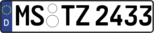 MS-TZ2433