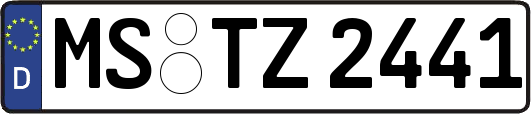 MS-TZ2441