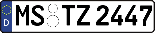 MS-TZ2447