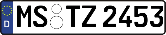 MS-TZ2453