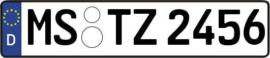 MS-TZ2456