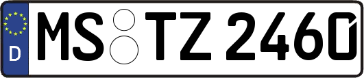 MS-TZ2460