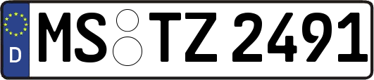 MS-TZ2491