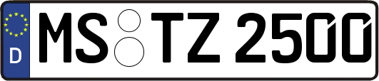 MS-TZ2500