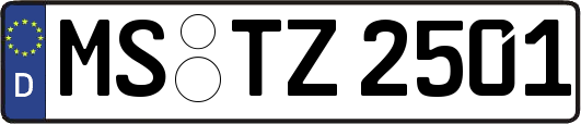 MS-TZ2501