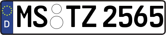 MS-TZ2565