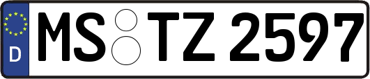MS-TZ2597