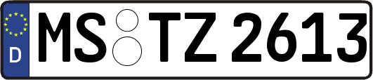 MS-TZ2613