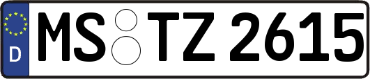 MS-TZ2615